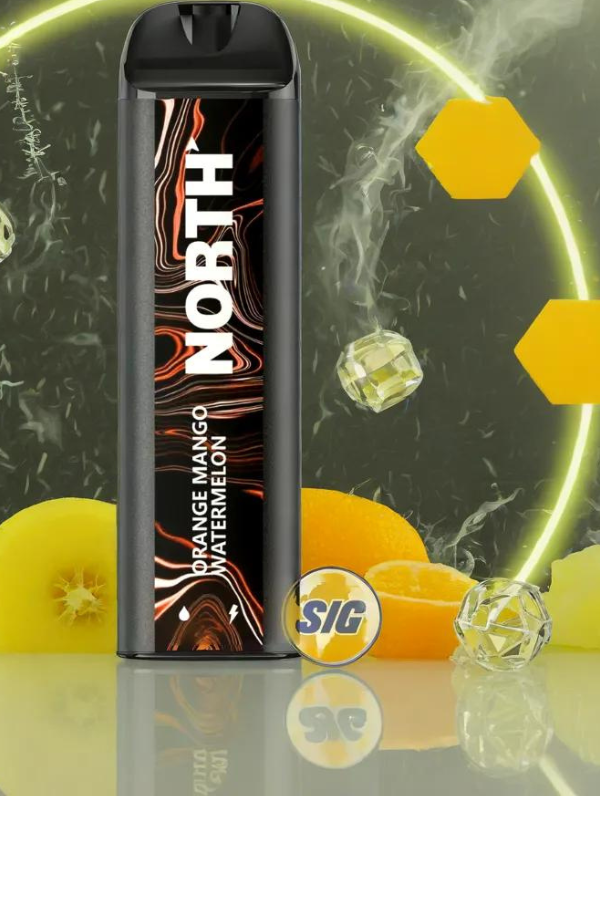North 5000 Puff Blueberry Watermelon